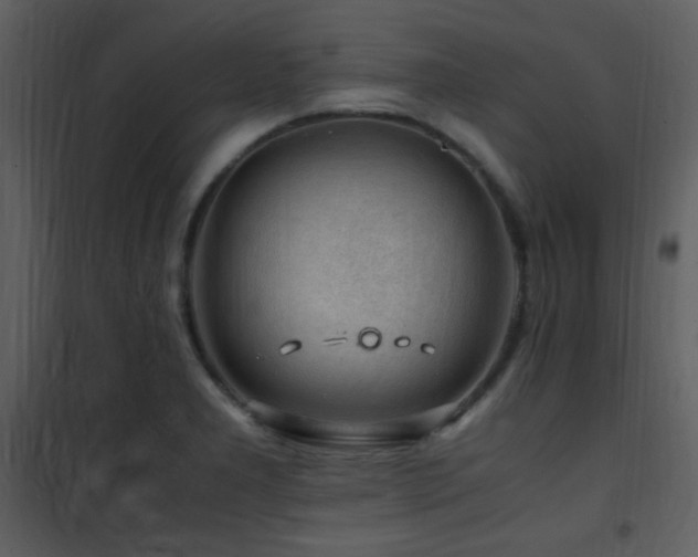 X0000101961277200807181032