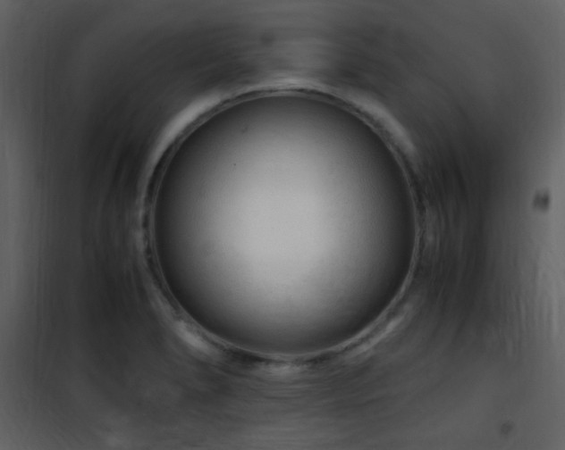 X0000101961278200807181032