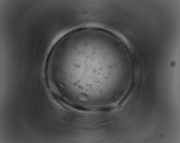 X0000101961279200807181032