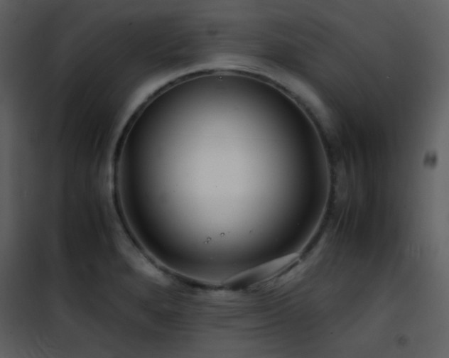 X0000101961280200807181032