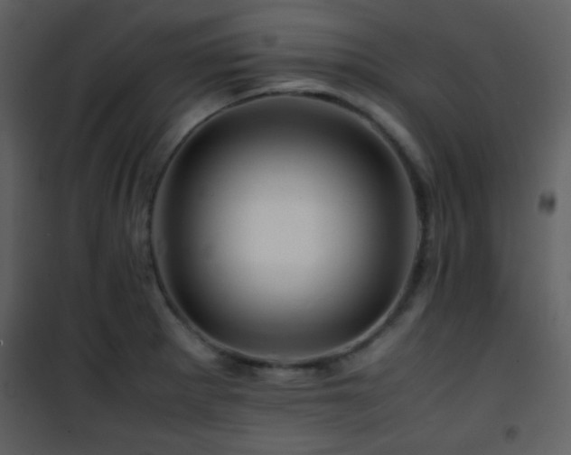 X0000101961281200807181032