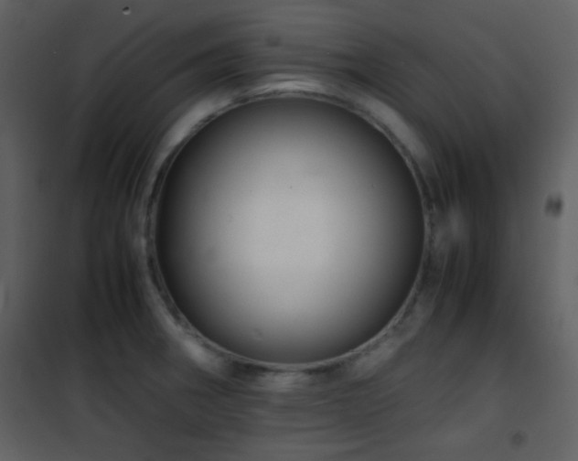 X0000101961282200807181032