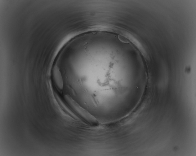 X0000101961283200807181032