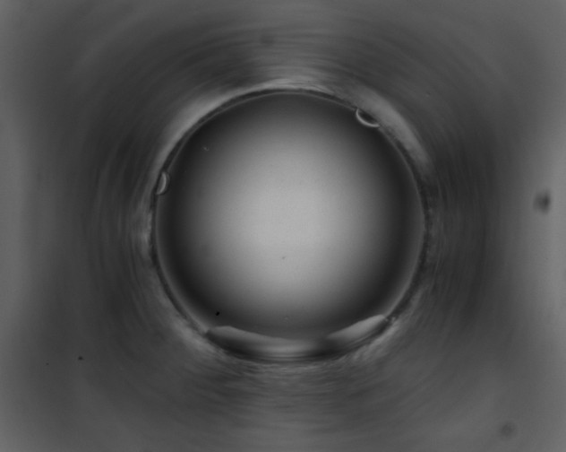 X0000101961284200807181032