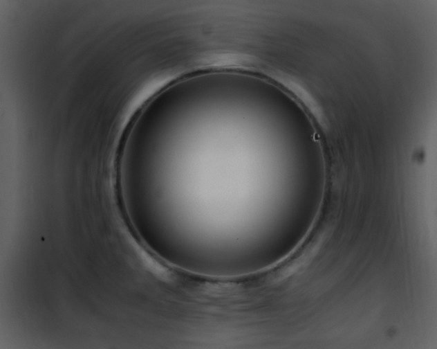 X0000101961285200807181032