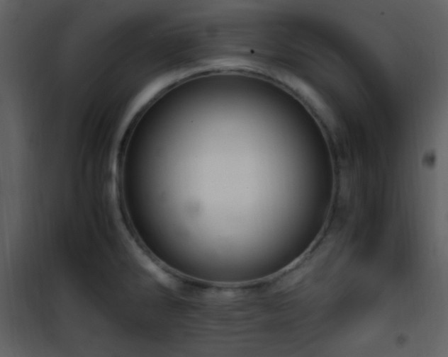 X0000101961286200807181032
