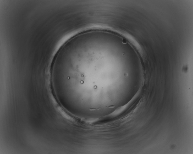 X0000101961287200807181032