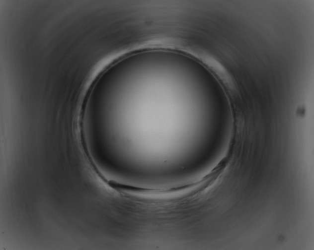 X0000101961288200807181032