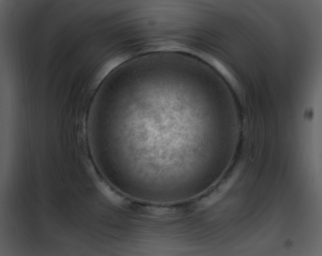 X0000101961289200807181032