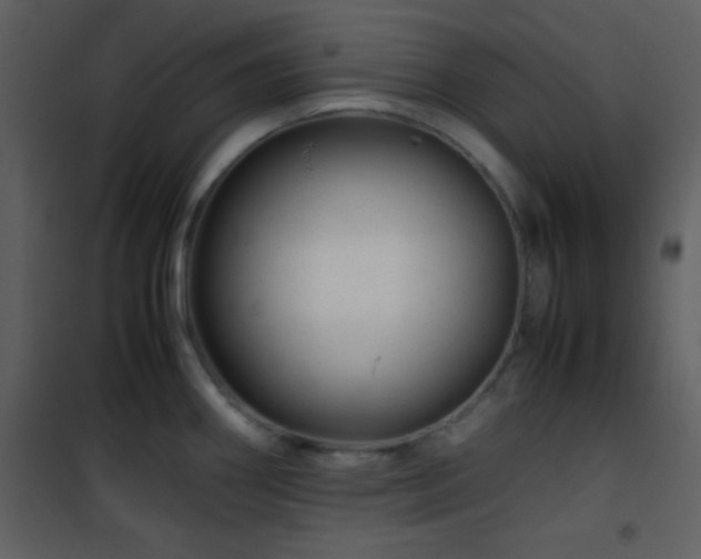 X0000101961290200807181032