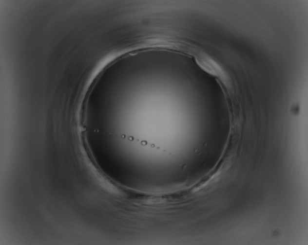 X0000101961291200807181032