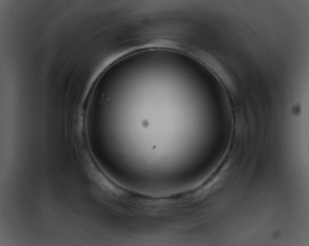 X0000101961292200807181032