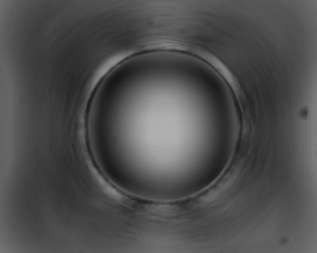 X0000101961293200807181032