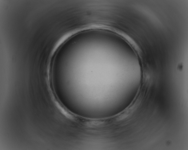X0000101961294200807181032