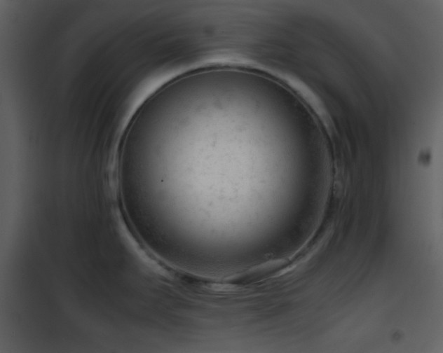 X0000101961295200807181031