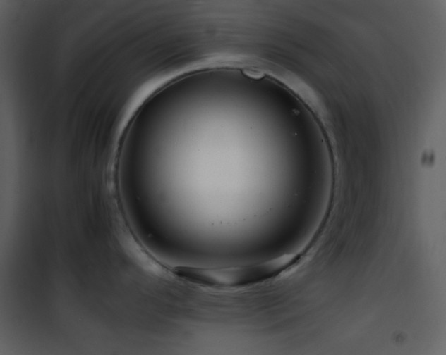 X0000101961296200807181031