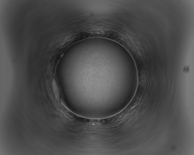 X0000101961297200807181031