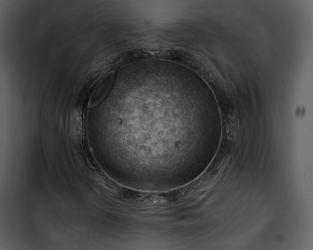 X0000101961298200807181031