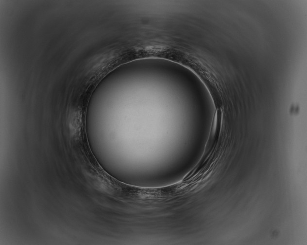 X0000101961299200807181031