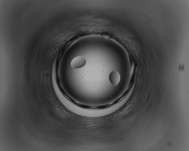 X0000101961300200807181031