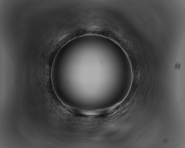 X0000101961301200807181031