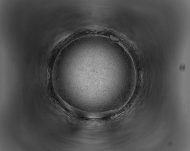 X0000101961302200807181031