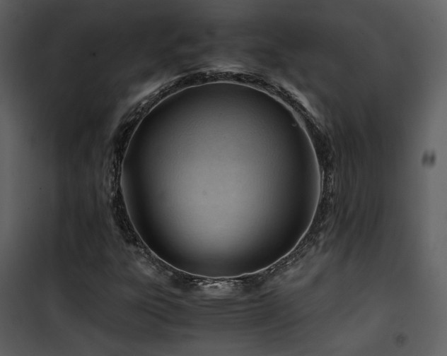 X0000101961303200807181031