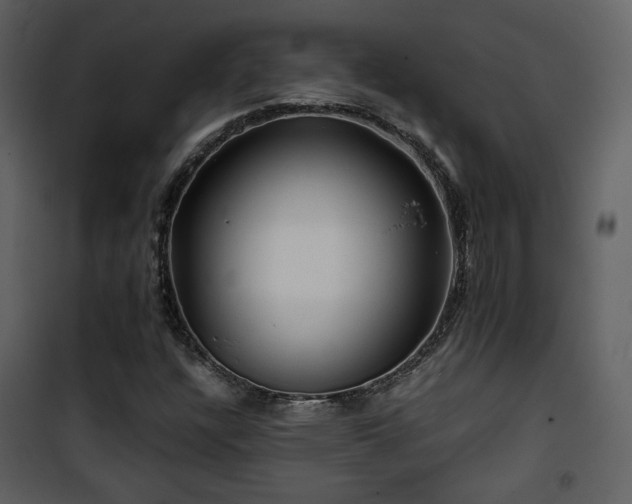 X0000101961304200807181031