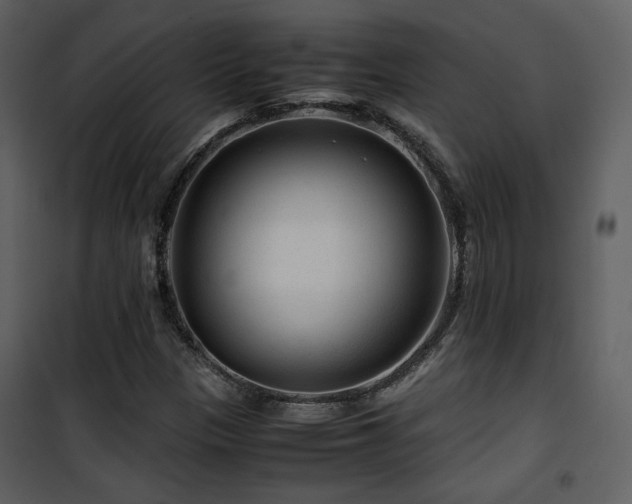X0000101961305200807181031