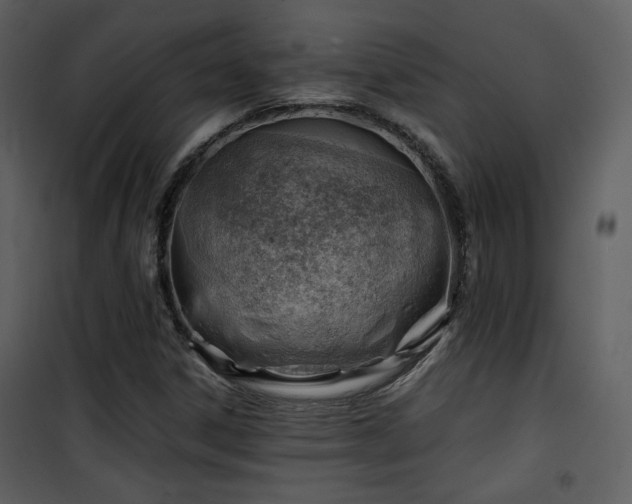 X0000101961306200807181031