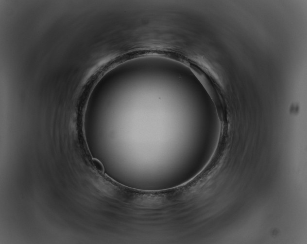 X0000101961307200807181031