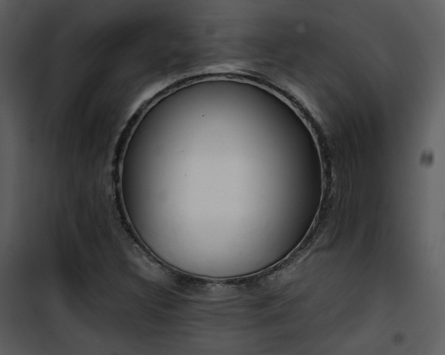 X0000101961308200807181031
