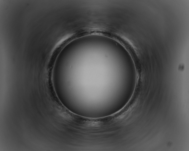 X0000101961309200807181031