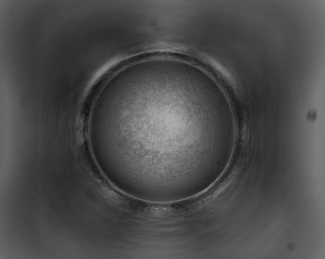 X0000101961310200807181031