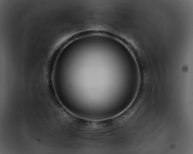 X0000101961311200807181031
