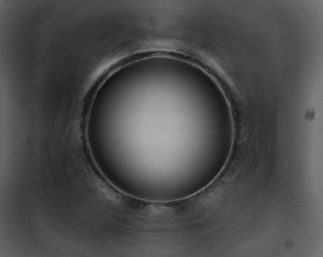 X0000101961312200807181031