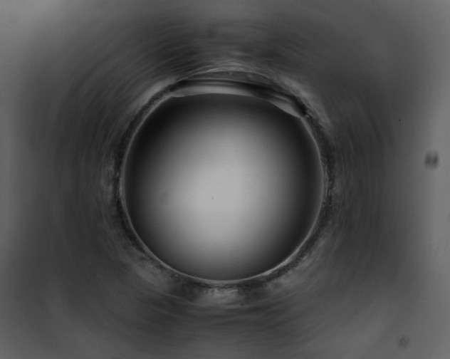 X0000101961313200807181031