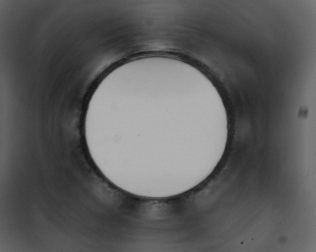 X0000101961314200807181031