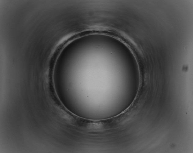 X0000101961315200807181031