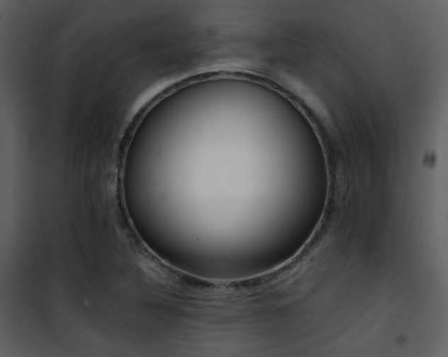 X0000101961316200807181031
