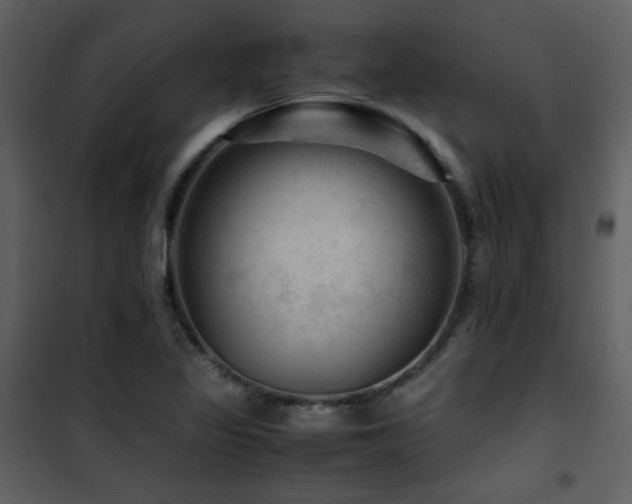 X0000101961317200807181031
