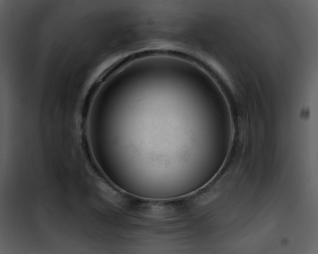 X0000101961318200807181031