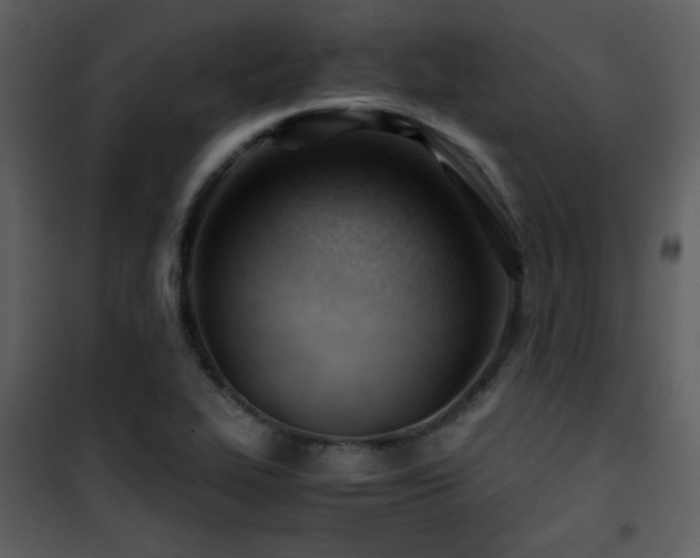 X0000101961319200807181031