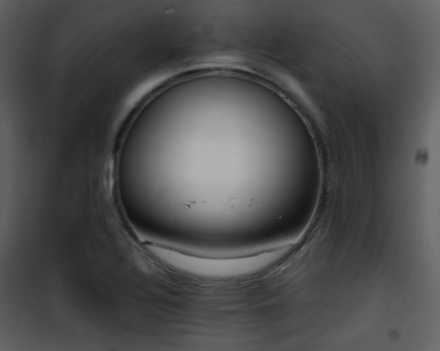 X0000101961320200807181031