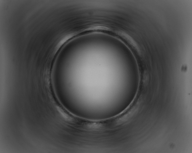X0000101961321200807181031