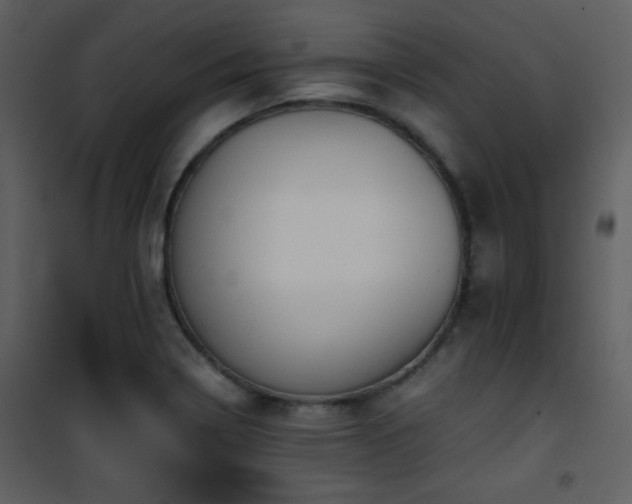X0000101961322200807181031