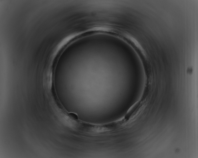 X0000101961323200807181031