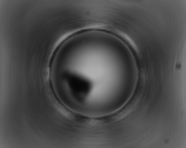 X0000101961324200807181031