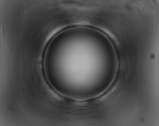 X0000101961325200807181031
