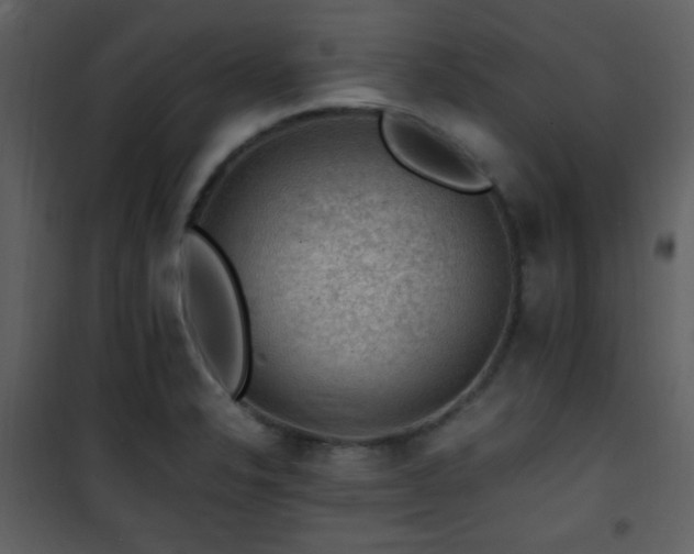 X0000101961326200807181031